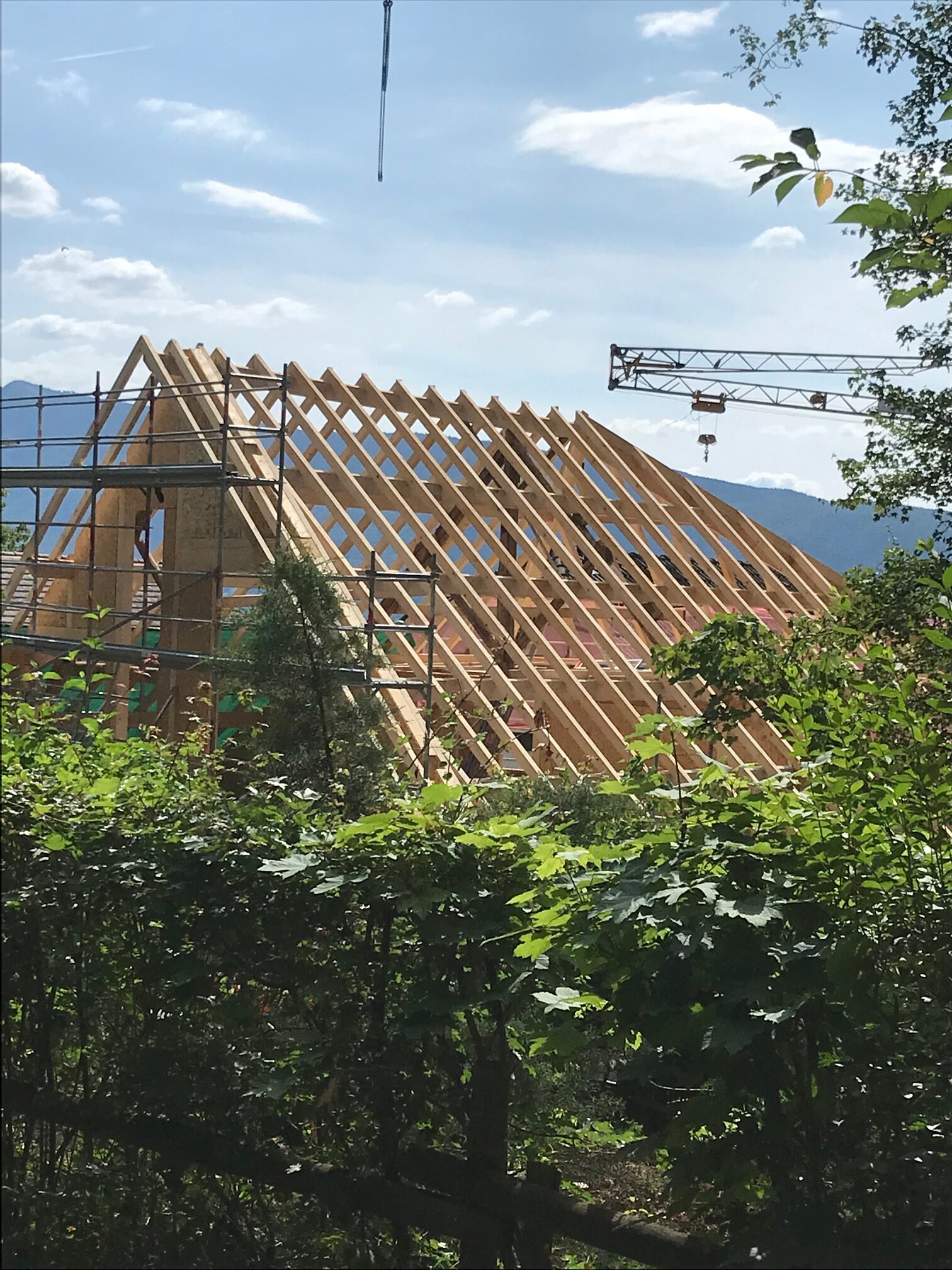 IMG_2199 Charpente en construction MCZ BOIS